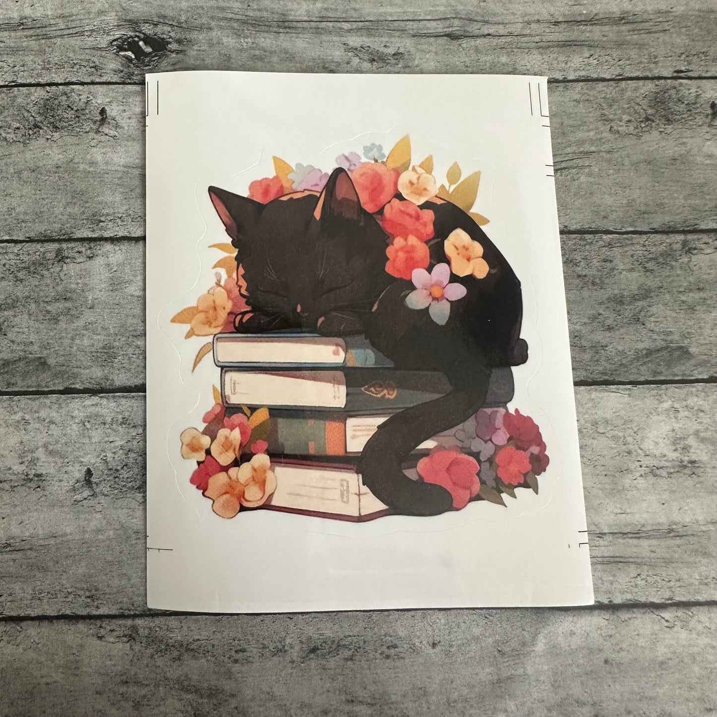 Kitty and Books Sticker